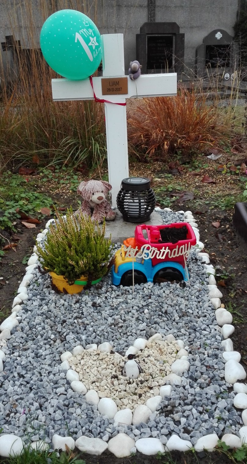 IMG_20181128_144236_cropped